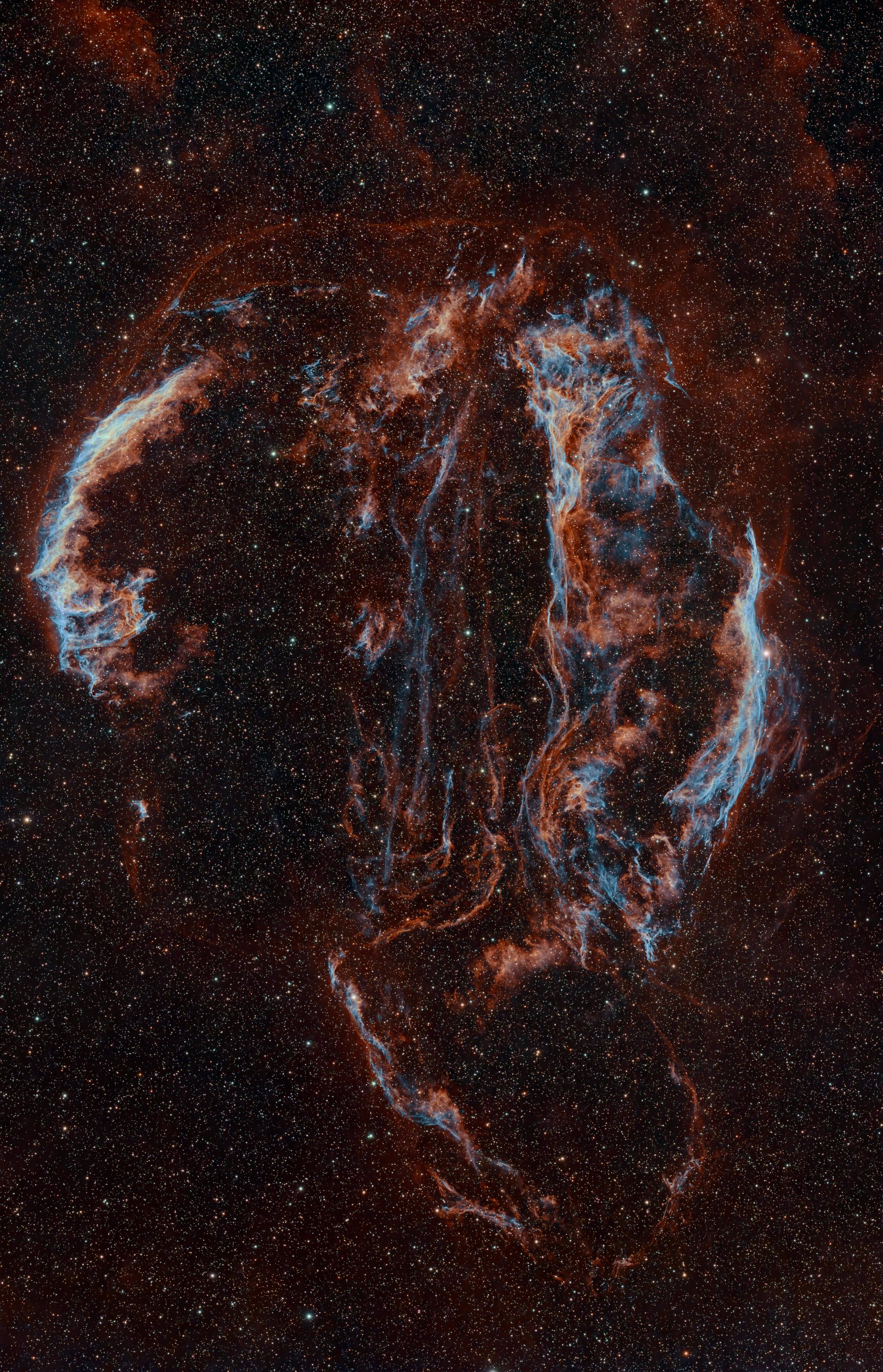 Wide-field astrophotograph of the Cygnus Loop supernova remnant showing NGC 6960, NGC 6992, and Pickering's Triangle in red hydrogen-alpha and blue doubly ionized oxygen filaments against a dense star field.