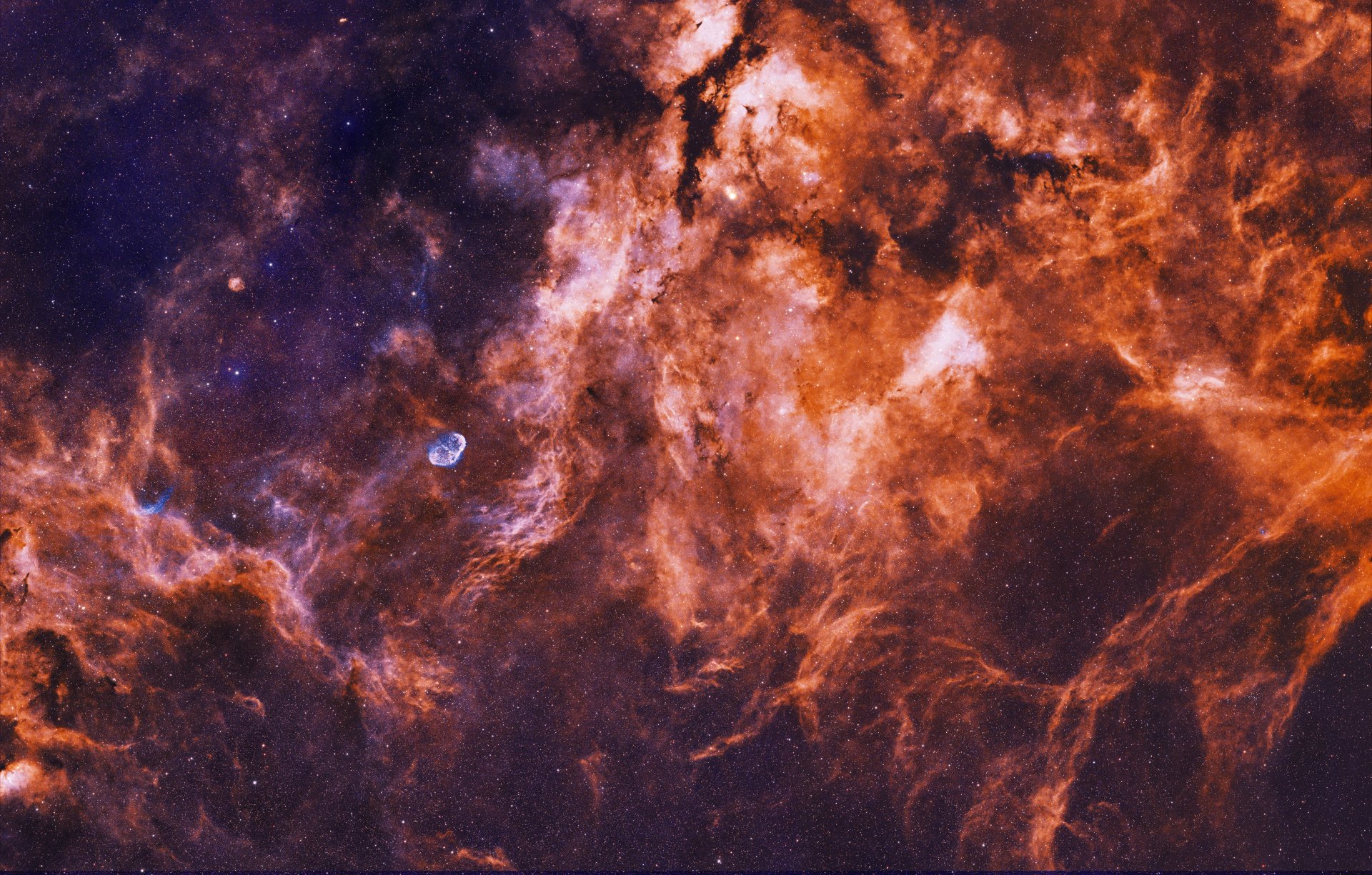 Sadr Region in Cygnus with crescent nebula astrophotography