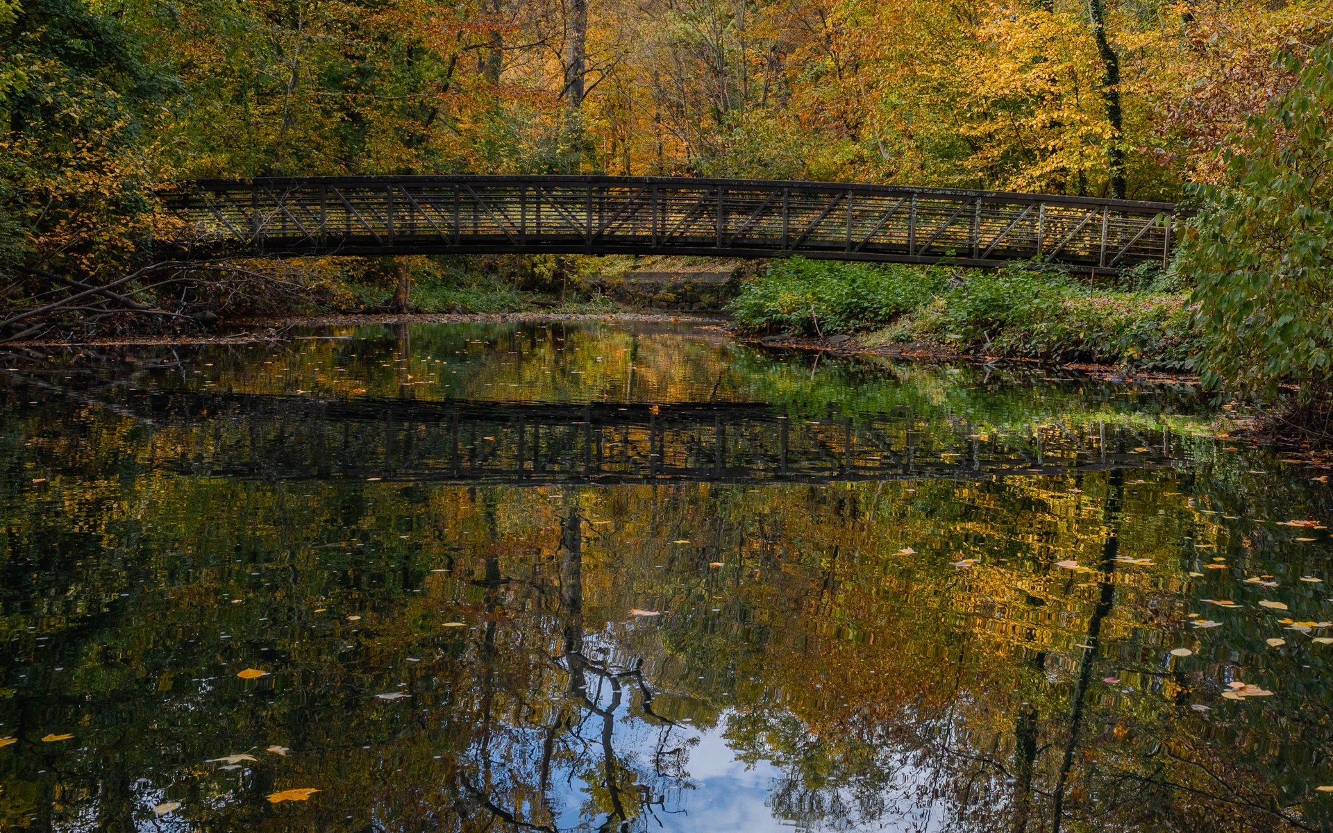 Scarsdale New York Walking Trail on Bronx River Parkway