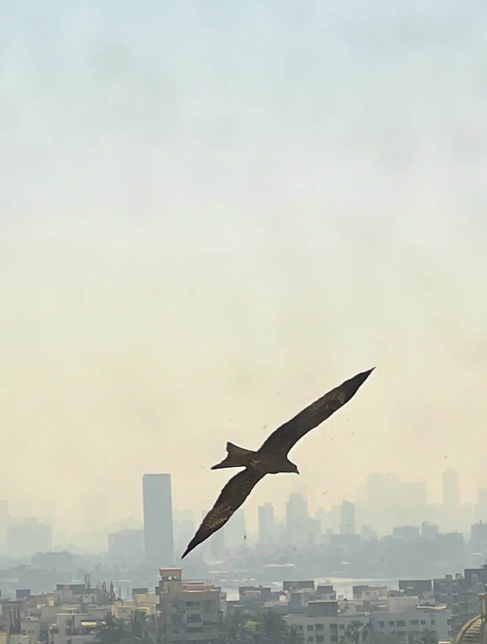 eagle's eye view of Mumbai