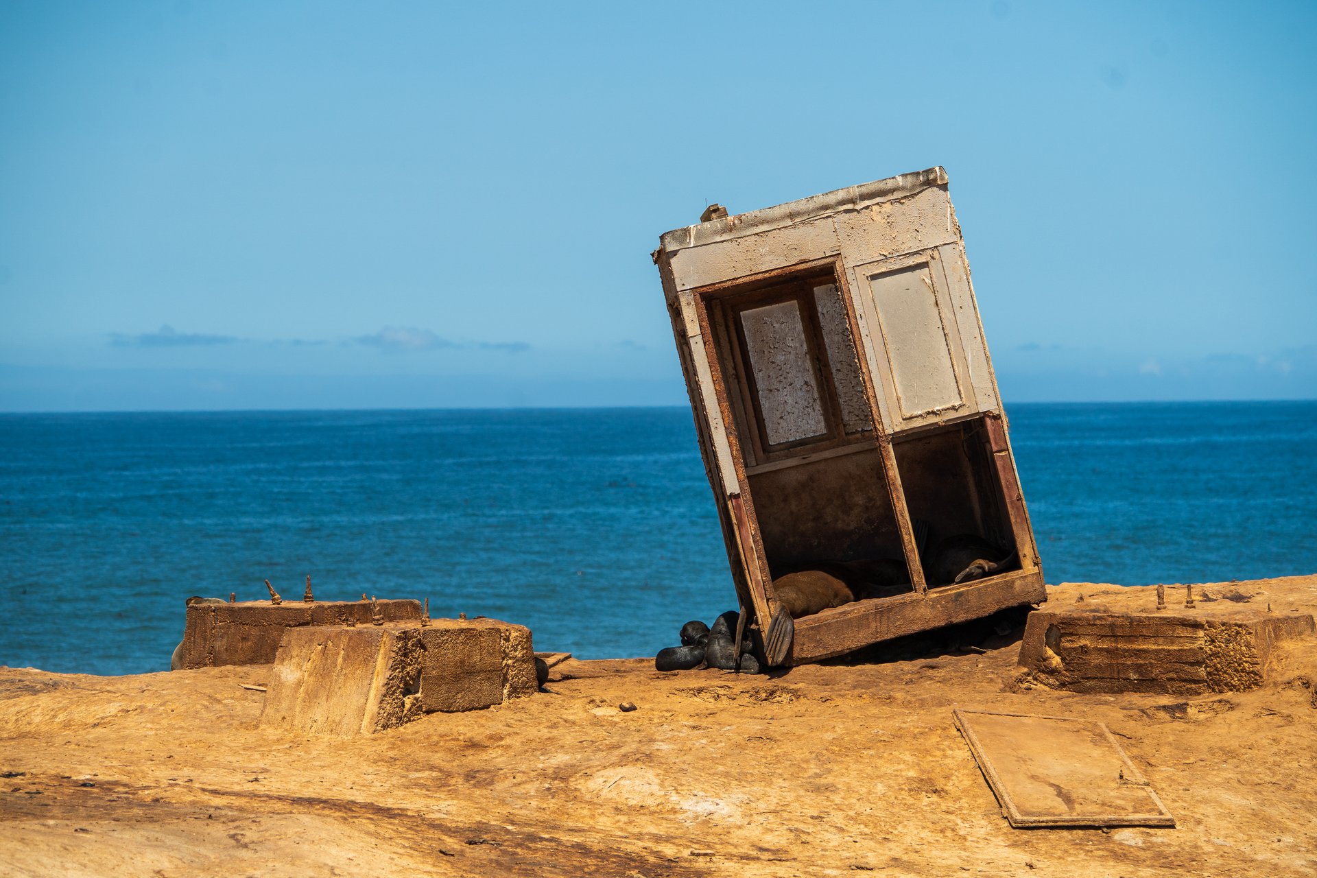 Cape fur seals (Arctocephalus pusillus pusillus) resting beneath and inside a weathered abandoned structure on Namibia's remote Skeleton Coast, with the Atlantic Ocean in the background.